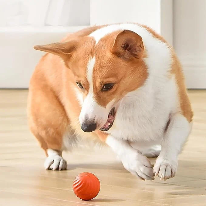 Interactive Dog Toy Obstacle Sensing Rechargeable Chew Resistant
