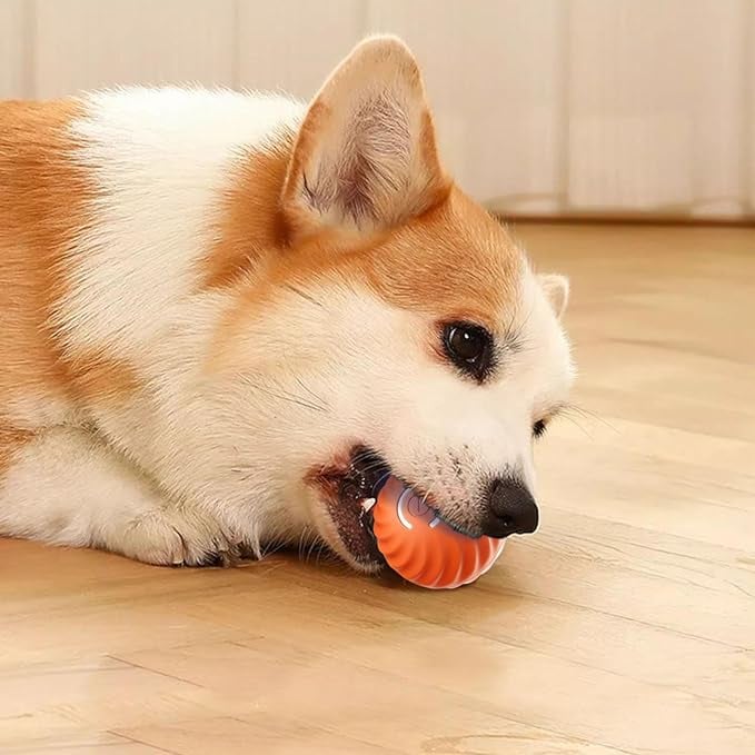 Interactive Dog Toy Obstacle Sensing Rechargeable Chew Resistant