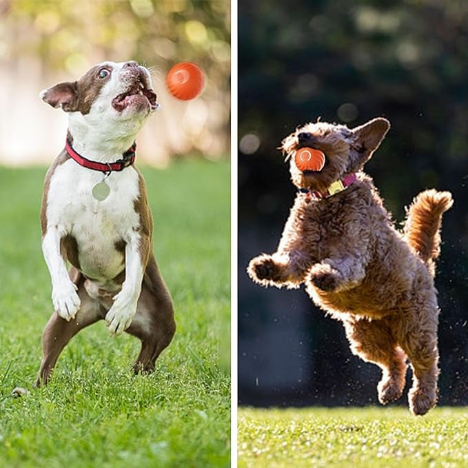 Interactive Dog Toy Obstacle Sensing Rechargeable Chew Resistant