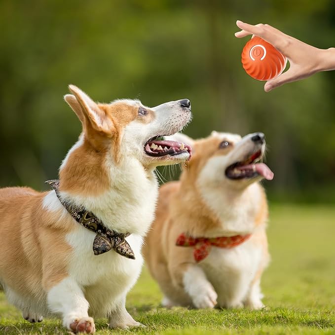 Interactive Dog Toy Obstacle Sensing Rechargeable Chew Resistant
