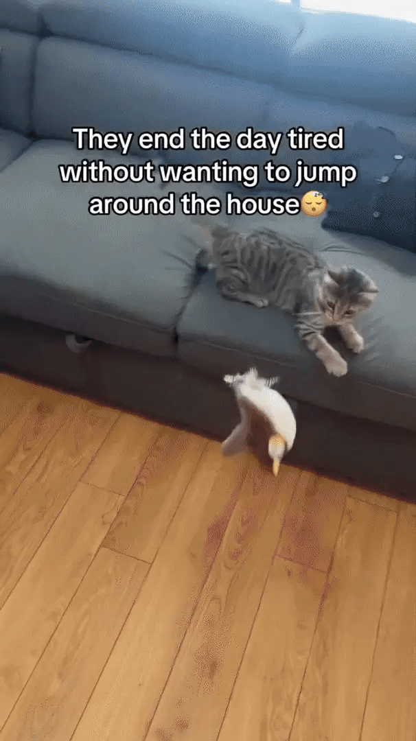 Interactive Plush Cat Toy Touch-Activated USB Rechargeable