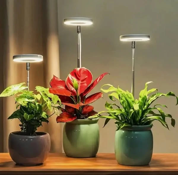 LED Grow Light Full Spectrum Adjustable Brightness & Timer