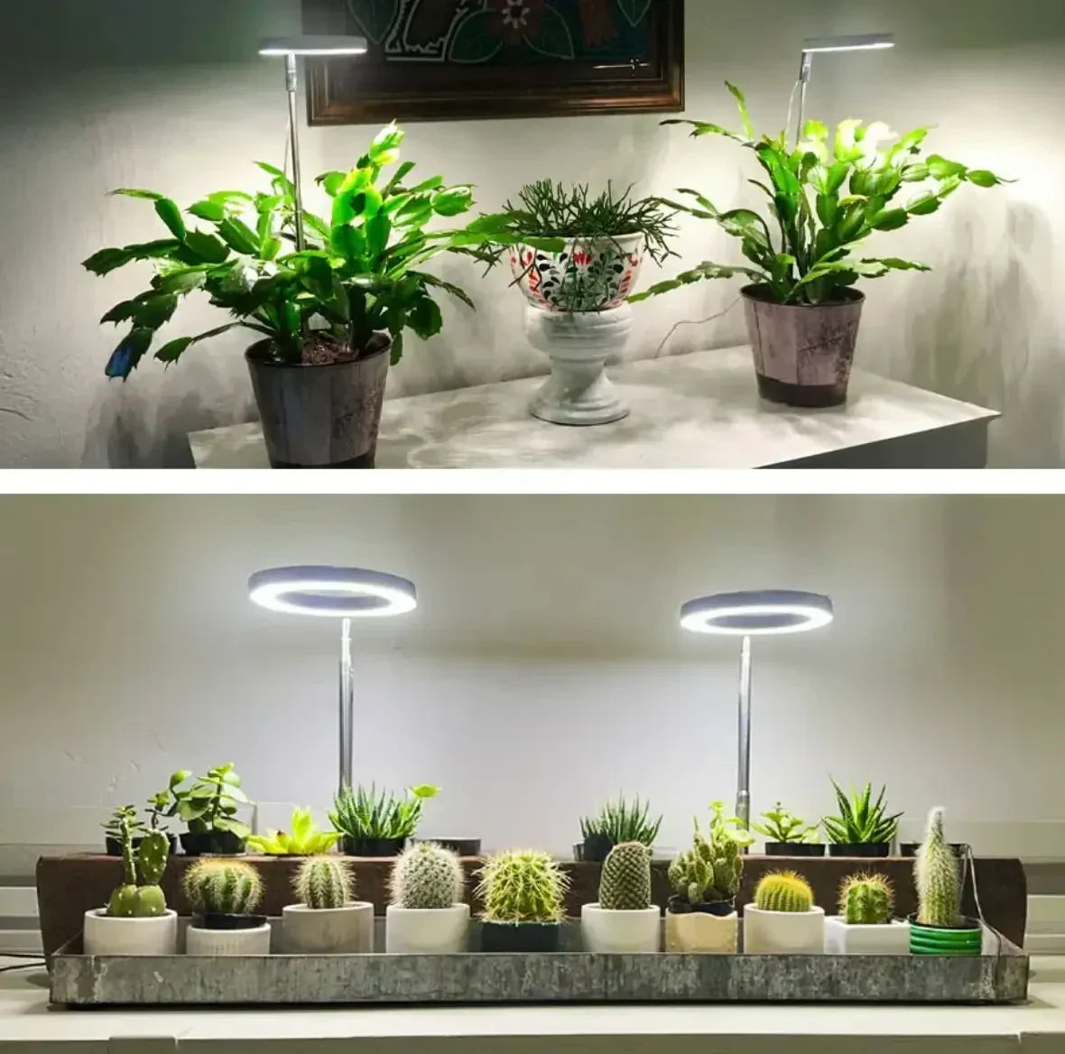 LED Grow Light Full Spectrum Adjustable Brightness & Timer