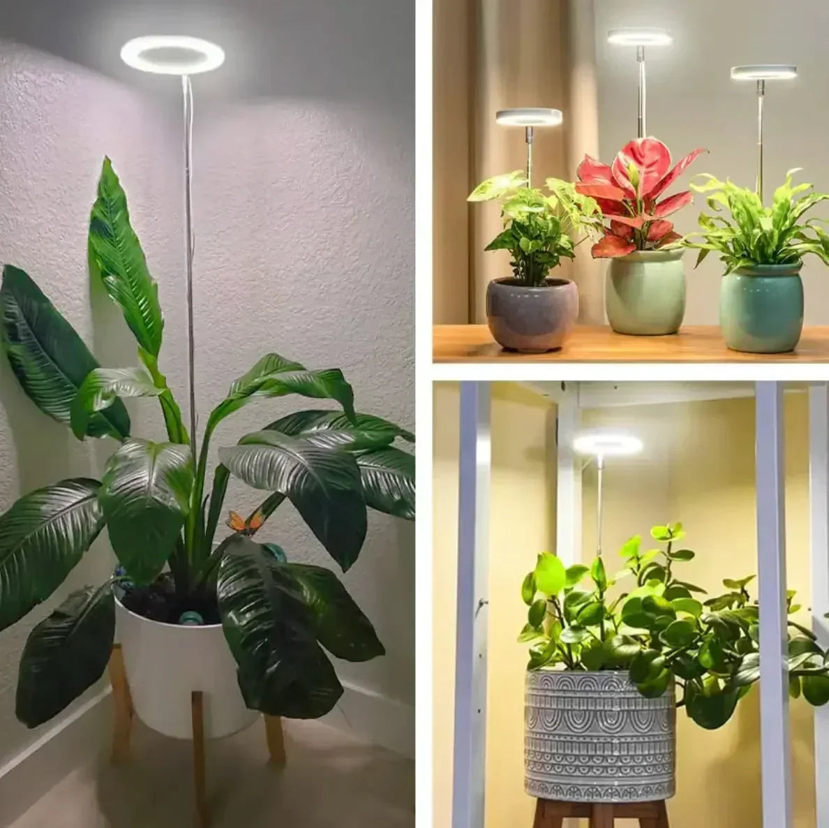 LED Grow Light Full Spectrum Adjustable Brightness & Timer