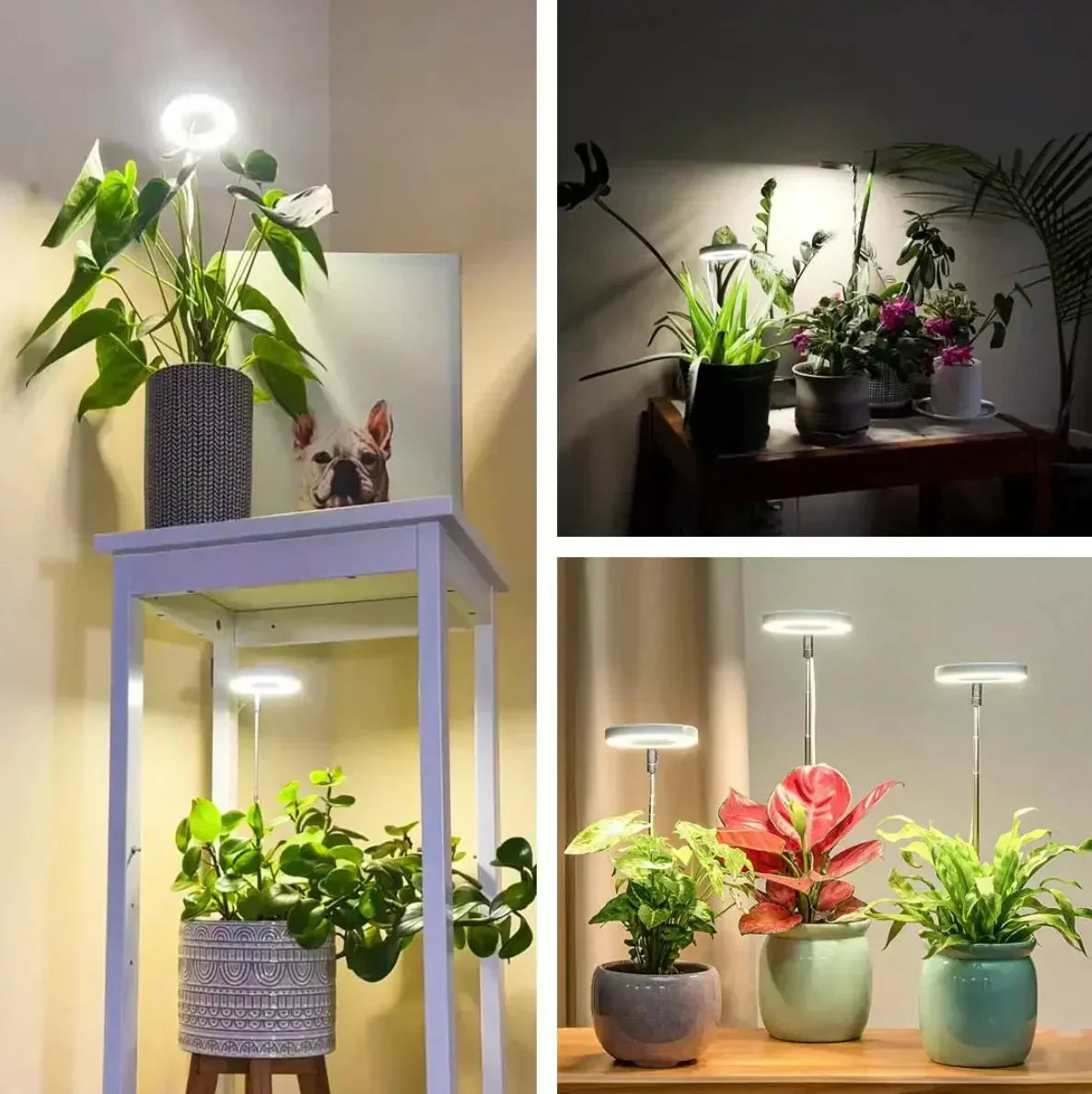 LED Grow Light Full Spectrum Adjustable Brightness & Timer