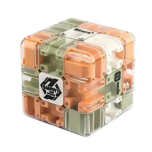 Labyrinth Cube Transparent ABS Stainless Steel Ball