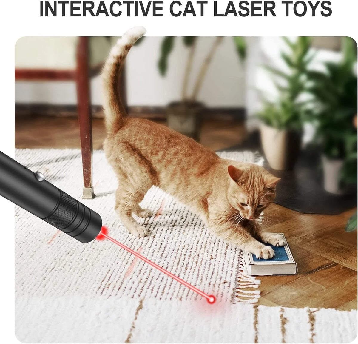 Laser Pointer USB Rechargeable Starry Pattern 2,000-Foot Range