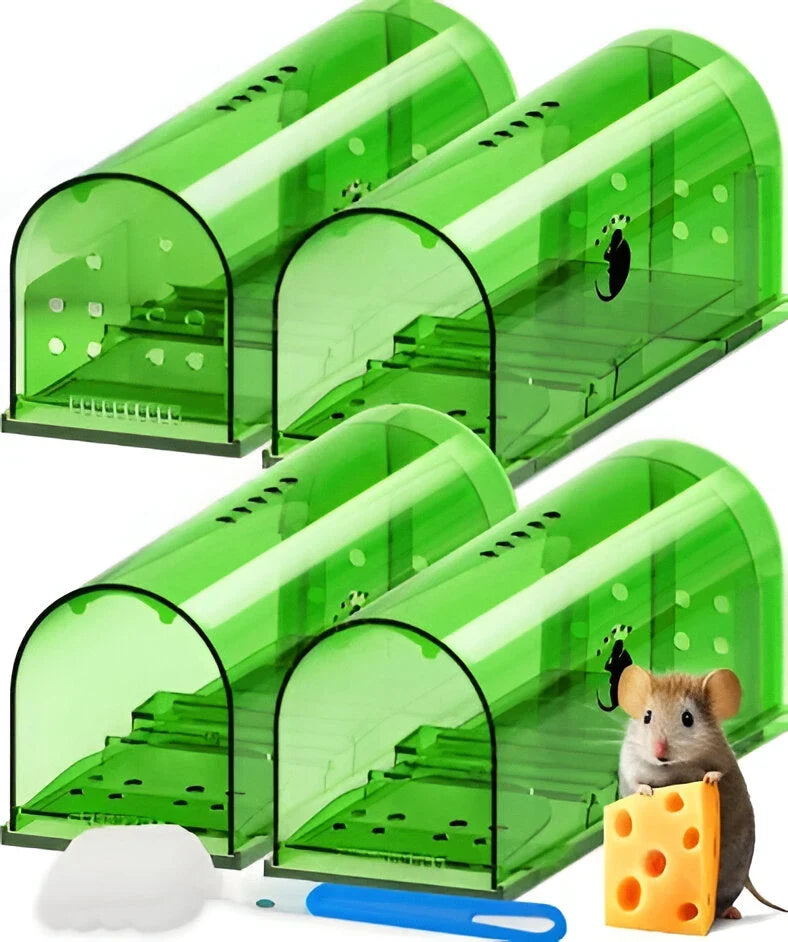 Live Mouse Trap Transparent Reusable Set of 4