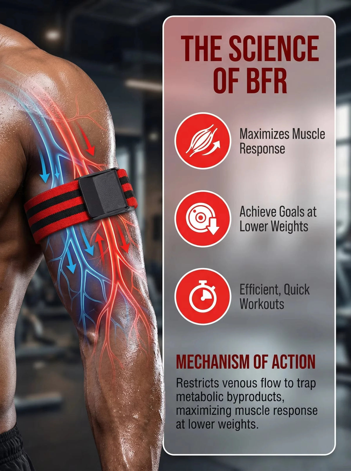Occlusion Training Bands Adjustable Buckle Set of 2