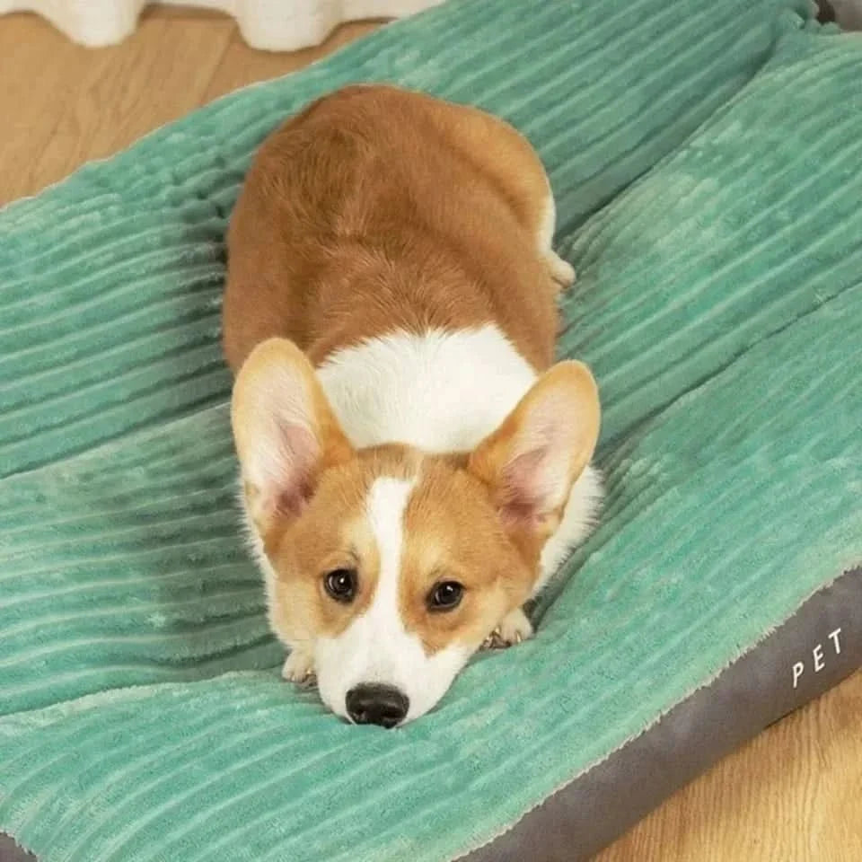 Orthopedic Dog Bed Fluffy Cover Joint Pressure Relief