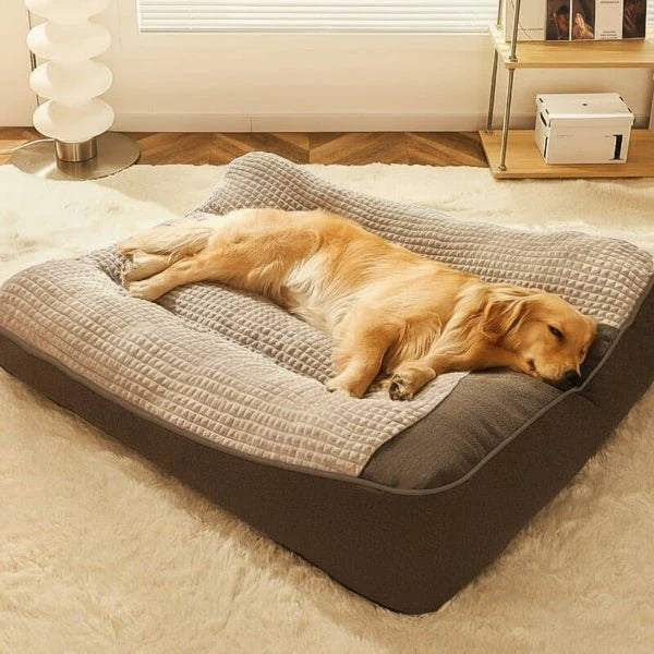 Orthopedic Dog Bed Raised Bolster Machine-Washable Cover