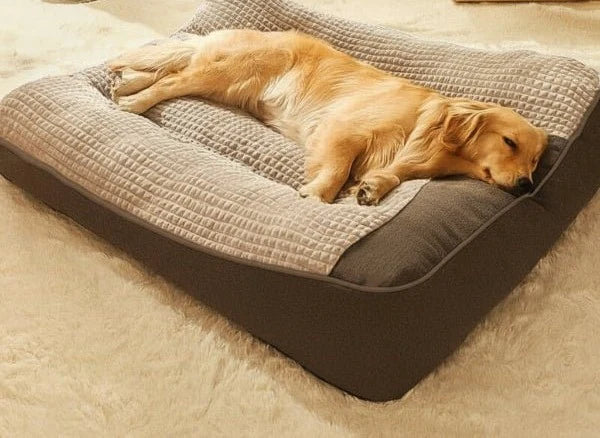 Orthopedic Dog Bed Raised Bolster Machine-Washable Cover