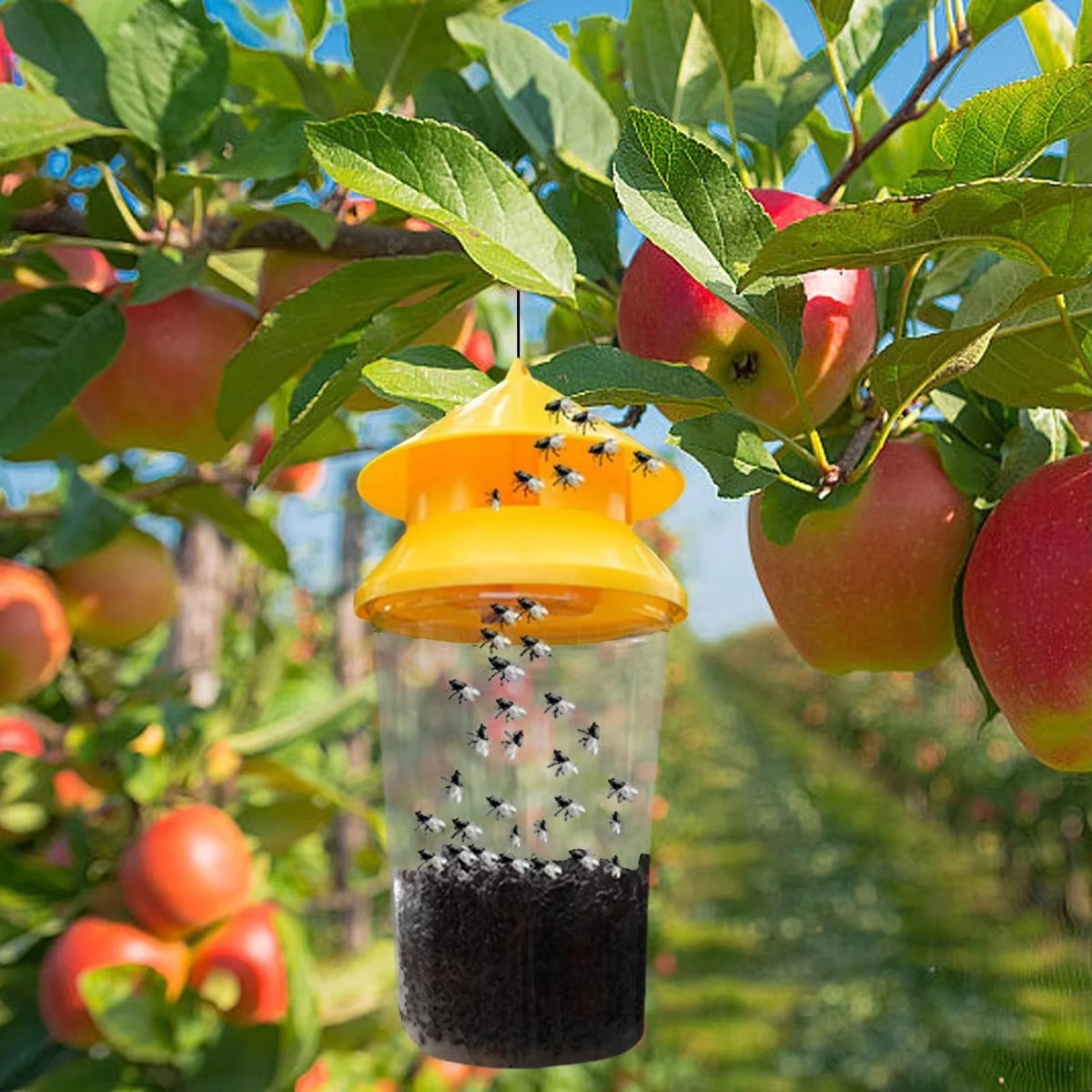 Outdoor Fly Trap Reusable Hanging Weather-Resistant
