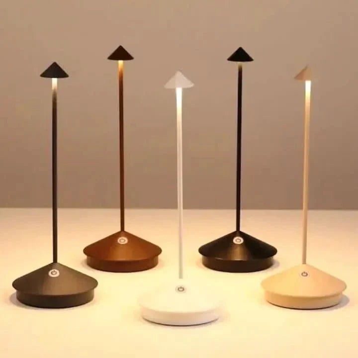 Outdoor Spike Light Waterproof Dimmable USB Rechargeable