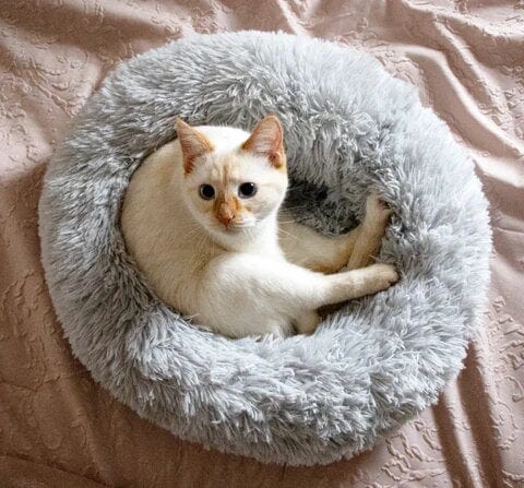 Pet Bed Plush Faux Fur Raised Rim Machine Washable