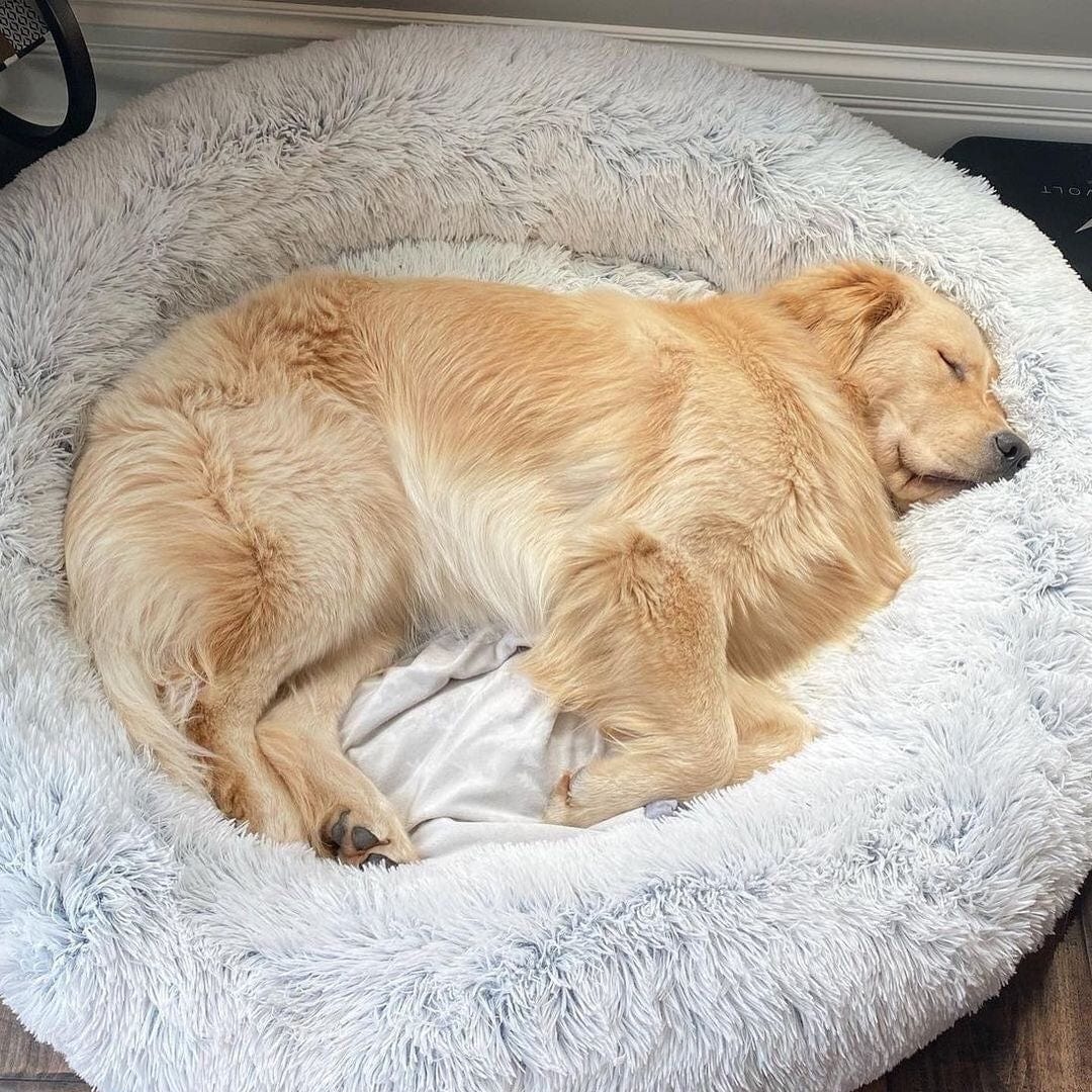Pet Bed Plush Faux Fur Raised Rim Machine Washable