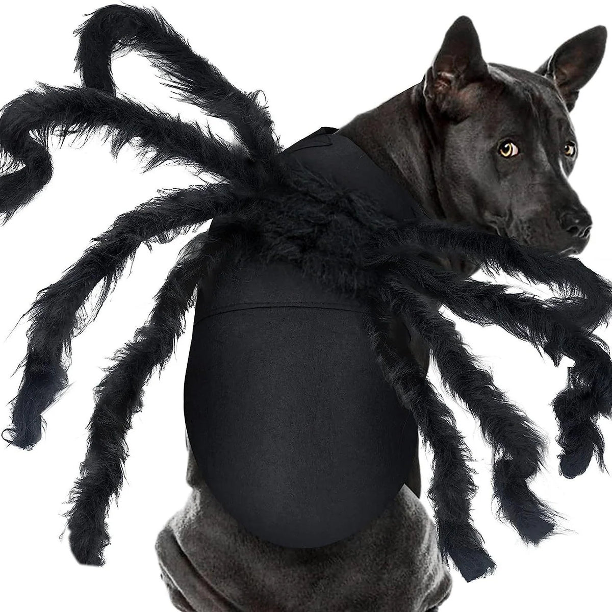 Pet Costume Spider Design Eight Plush Legs Adjustable Velcro