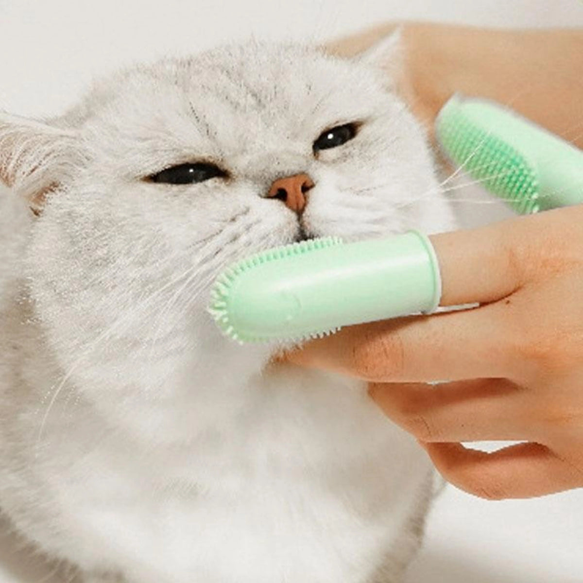 Pet Finger Toothbrush Dual-Finger 800+ Soft Bristles