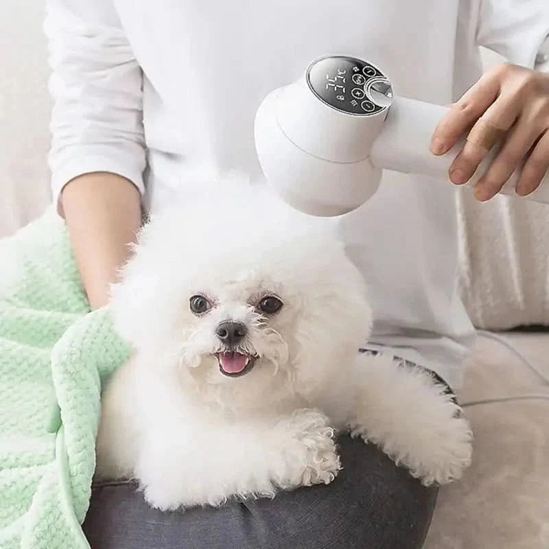 Pet Grooming Dryer Brush Warm Airflow Adjustable Settings