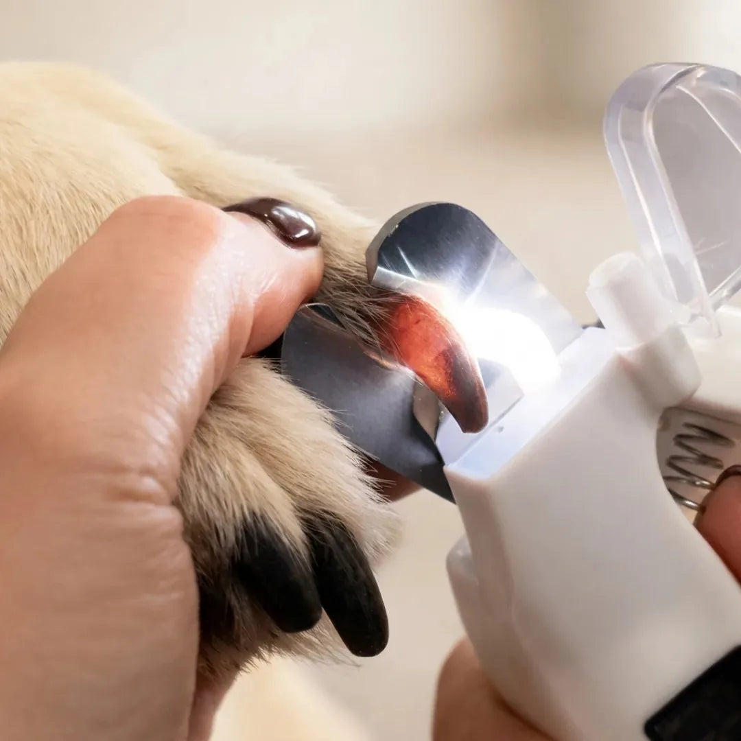 Pet Nail Clipper & Grinder 2-In-1 LED Rechargeable