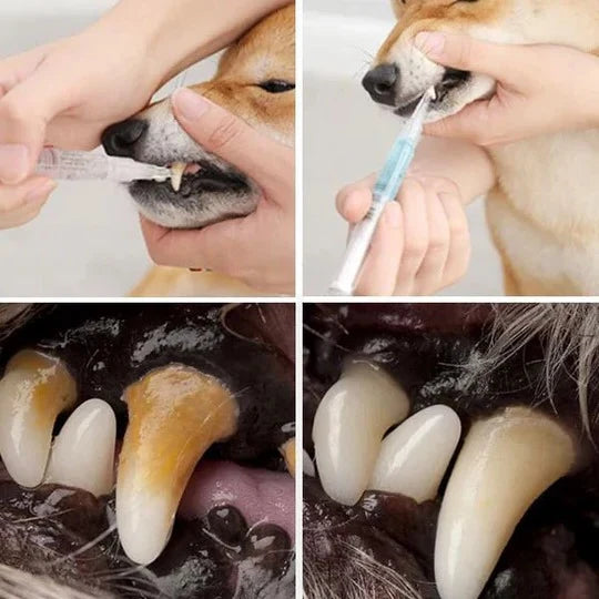 Pet Oral Care Solution Teeth Cleaning for Dogs & Cats