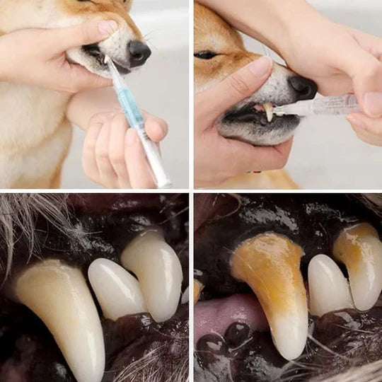Pet Teeth Cleaning Formula Stain Removal & Gum Support