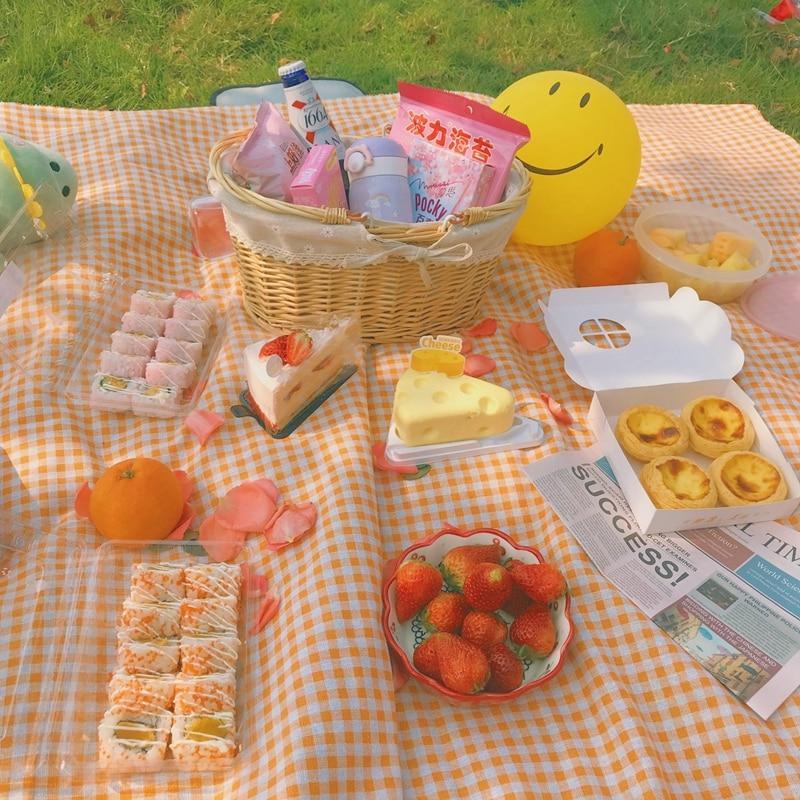 Picnic Blanket Orange Gingham Tablecloth Use