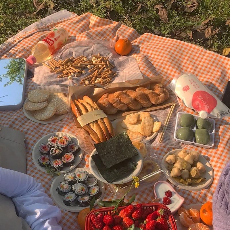 Picnic Blanket Orange Gingham Tablecloth Use