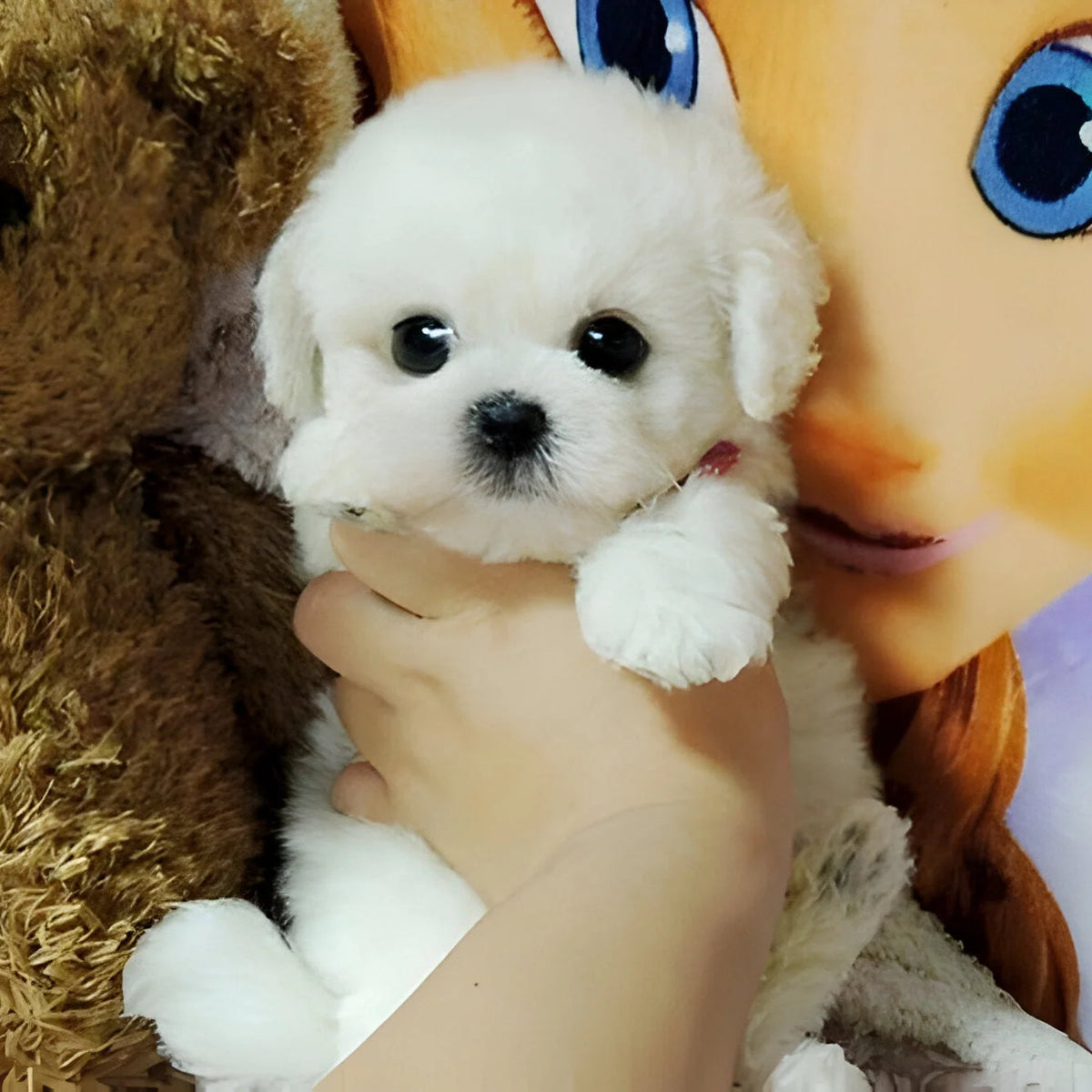 Plush Puppy Toy Soft Weighted Poseable Body