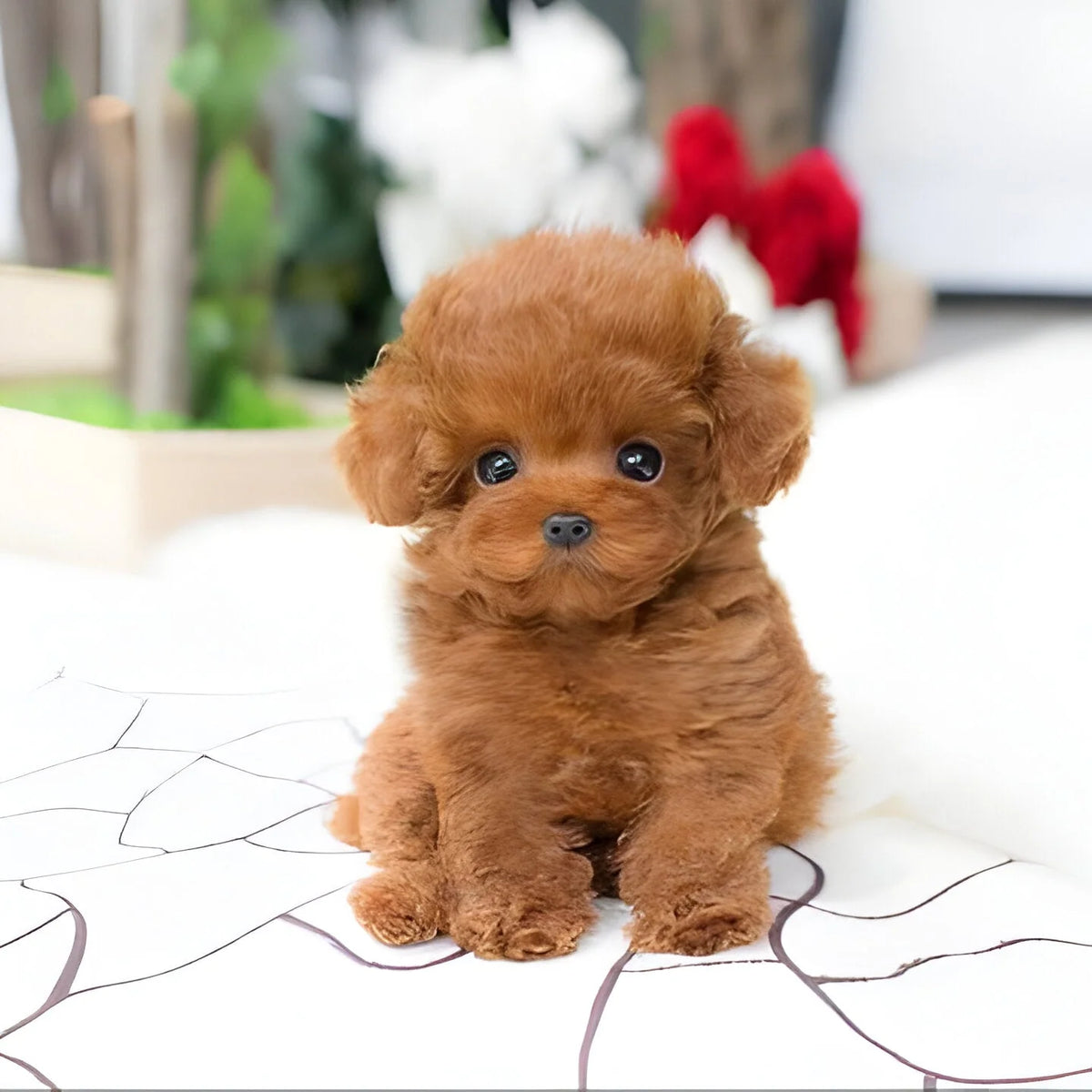 Plush Puppy Toy Soft Weighted Poseable Body