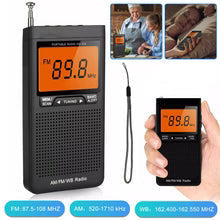 Pocket Radio AM/FM Weather Alerts Dual Alarm