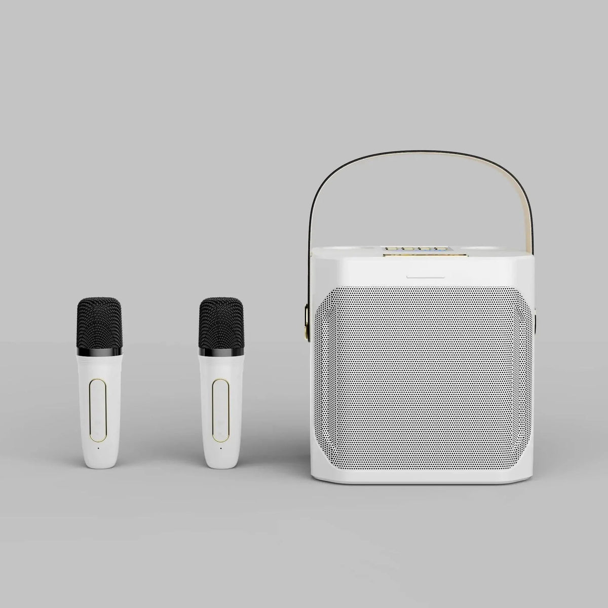 Portable Karaoke Speaker Dual Mic 8-Hour Battery