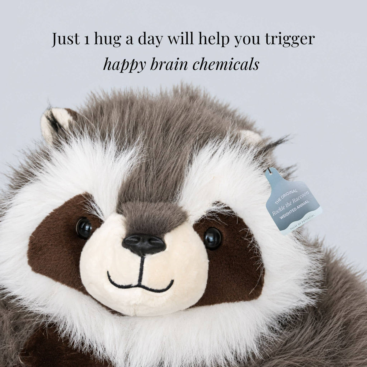 Raccoon Plush Toy Extra-Long Weighted Arms Comforting Hug Design