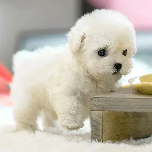 Robotic Puppy Toy Plush Walking & Barking