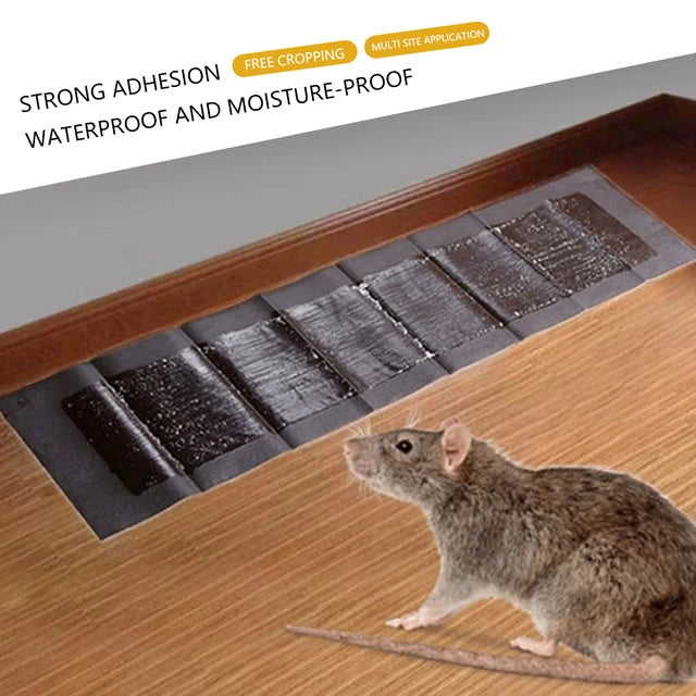 Rodent Glue Traps Extra Large Non-Toxic Set of 5