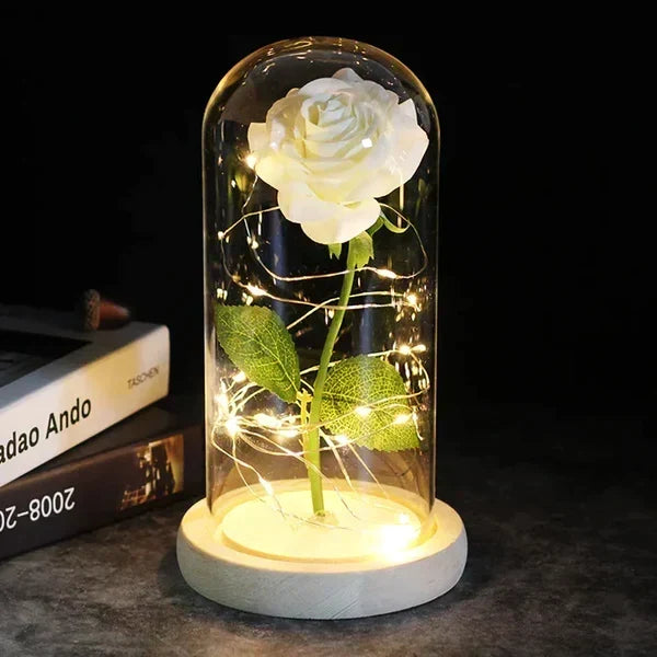 Rose Display Preserved Rose Clear Dome LED Lighted Base