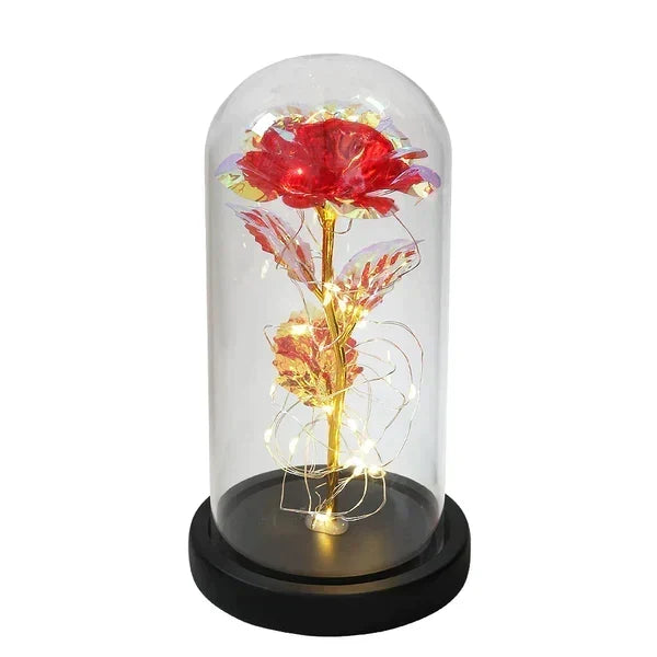 Rose Display Preserved Rose Clear Dome LED Lighted Base
