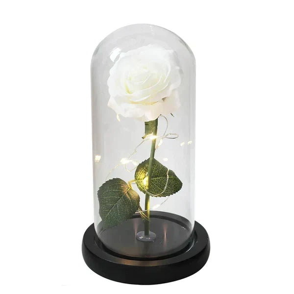 Rose Display Preserved Rose Clear Dome LED Lighted Base