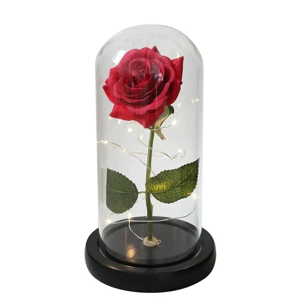 Rose Display Preserved Rose Clear Dome LED Lighted Base
