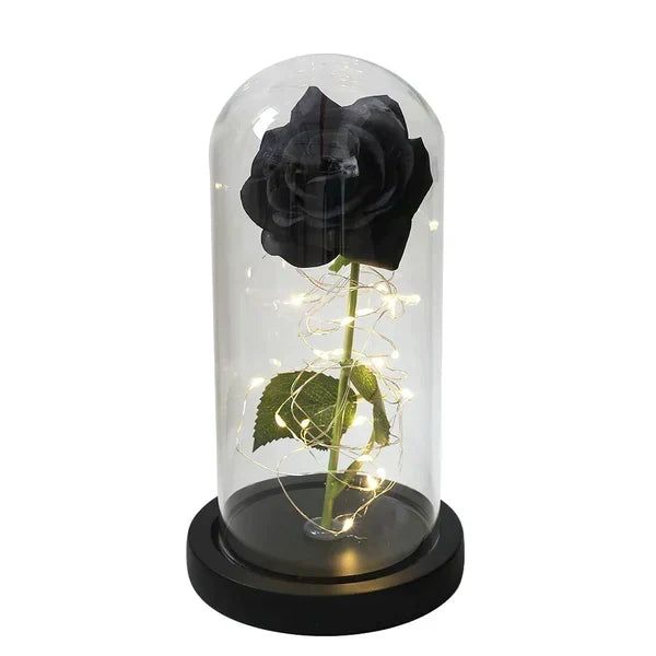 Rose Display Preserved Rose Clear Dome LED Lighted Base