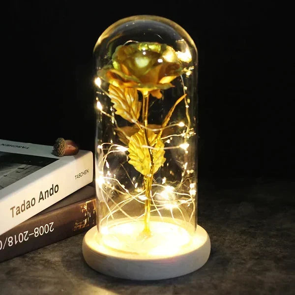 Rose Display Preserved Rose Clear Dome LED Lighted Base