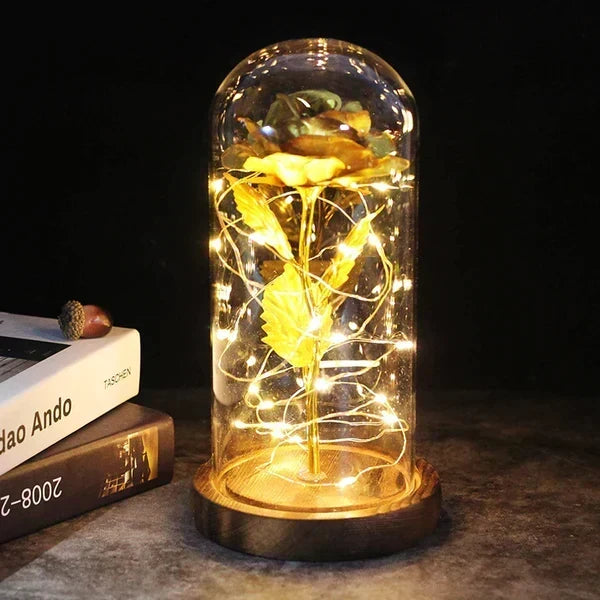 Rose Display Preserved Rose Clear Dome LED Lighted Base