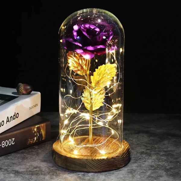 Rose Display Preserved Rose Clear Dome LED Lighted Base