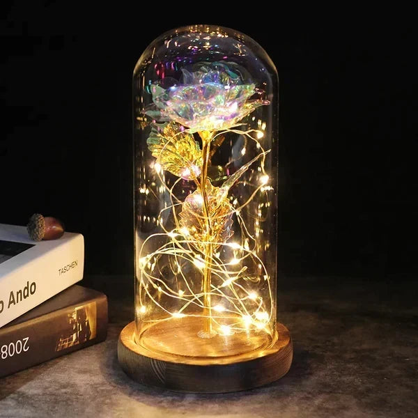 Rose Display Preserved Rose Clear Dome LED Lighted Base