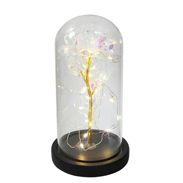 Rose Display Preserved Rose Clear Dome LED Lighted Base