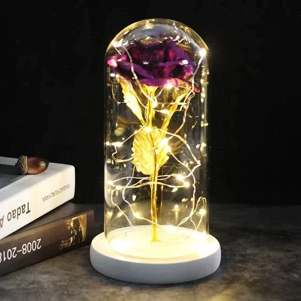 Rose Display Preserved Rose Clear Dome LED Lighted Base
