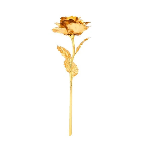 Rose Preserved With Gold Foil Gift Box