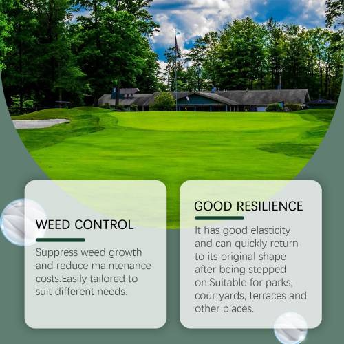 Seed Blanket Lawn & Landscape Planting