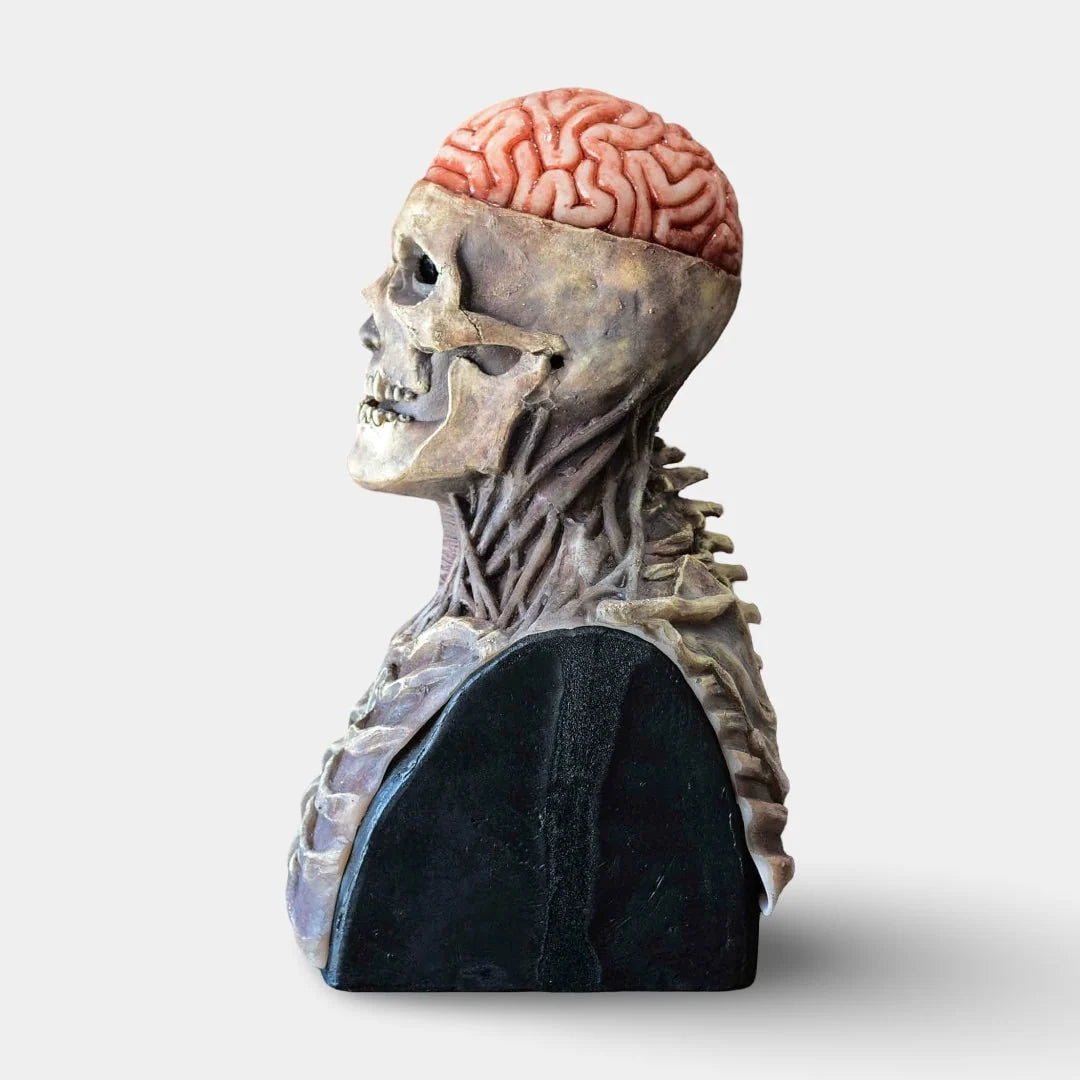 Skeleton Bust Resin Exposed Brain Halloween Decoration