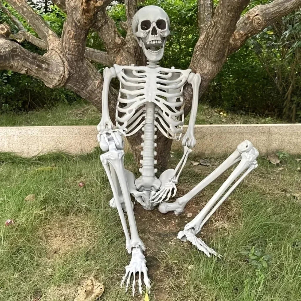 Skeleton Decoration Life-Size Poseable Plastic figure
